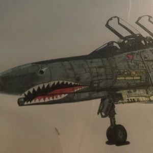 Fighter jet painting